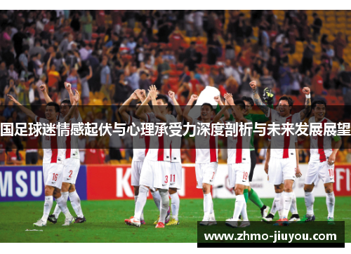 国足球迷情感起伏与心理承受力深度剖析与未来发展展望