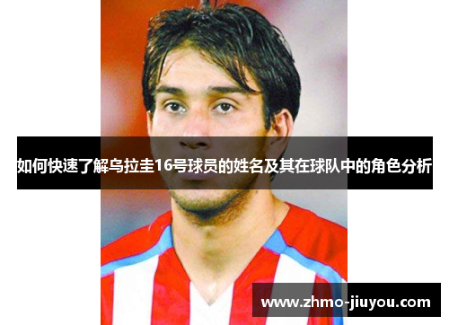 如何快速了解乌拉圭16号球员的姓名及其在球队中的角色分析 如何快速了解乌拉圭16号球员的姓名及其在球队中的角色分析