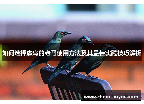 如何选择魔鸟的老马使用方法及其最佳实践技巧解析