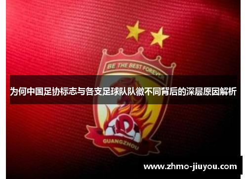 为何中国足协标志与各支足球队队徽不同背后的深层原因解析