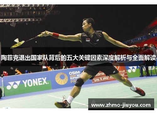 陶菲克退出国家队背后的五大关键因素深度解析与全面解读