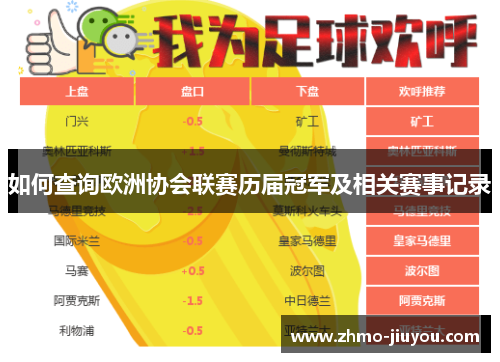 如何查询欧洲协会联赛历届冠军及相关赛事记录