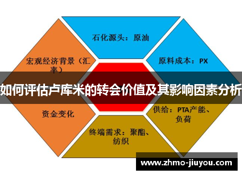 如何评估卢库米的转会价值及其影响因素分析