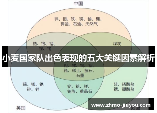 小麦国家队出色表现的五大关键因素解析