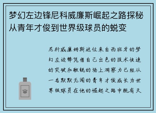 梦幻左边锋尼科威廉斯崛起之路探秘从青年才俊到世界级球员的蜕变